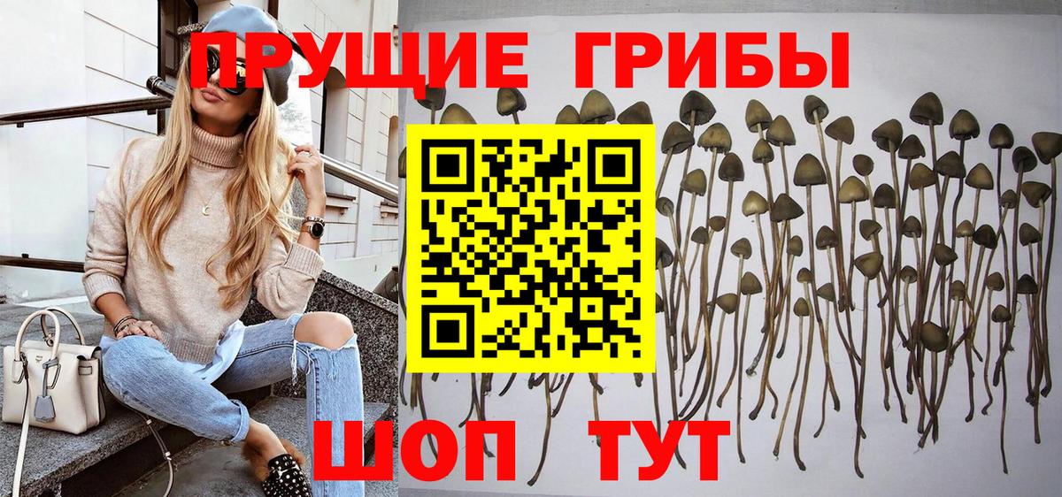 Галлюциногенные грибы MAGIC MUSHROOMS  Галлюциногенные грибы GOLDEN TEACHER  Вологда  Вход с VPN 